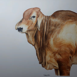 Red Brahman no2 - SOLD