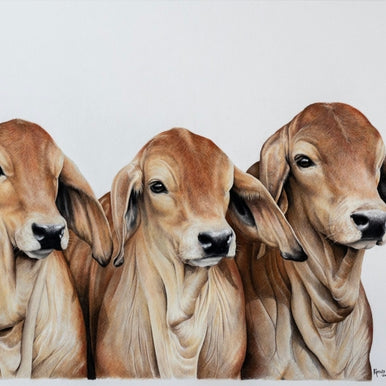 The Gang - Limited Edition