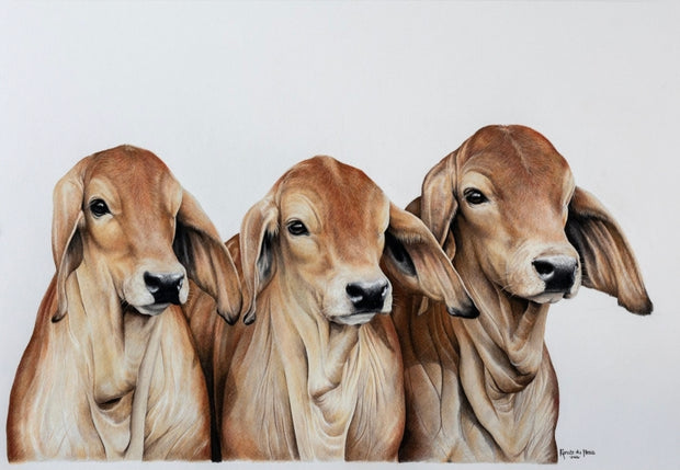 The Gang - Limited Edition