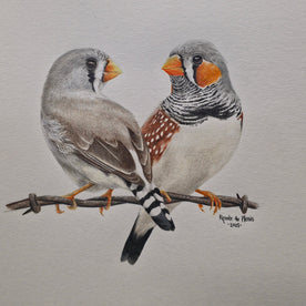 At First Sight - SOLD