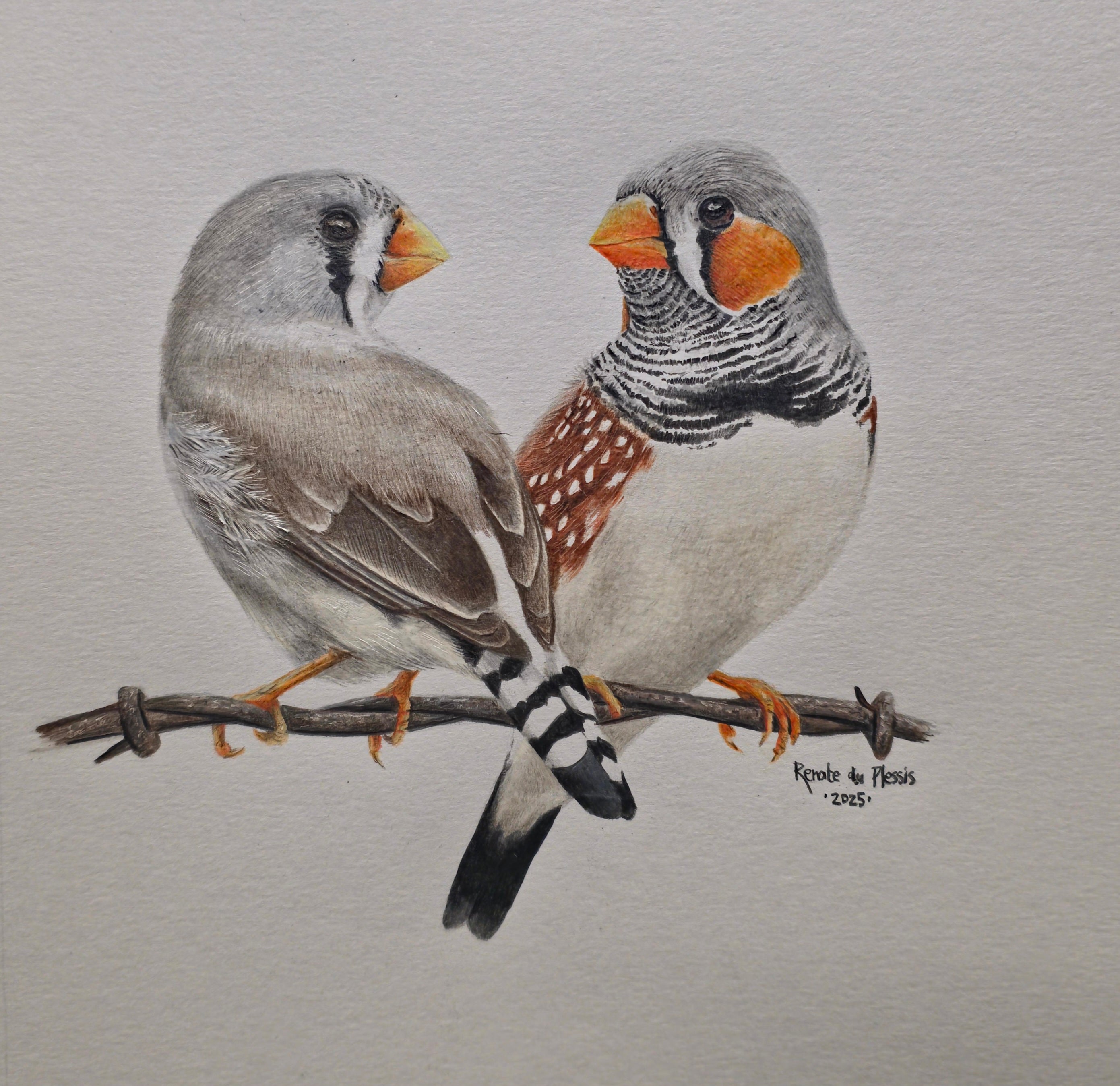 At First Sight - SOLD