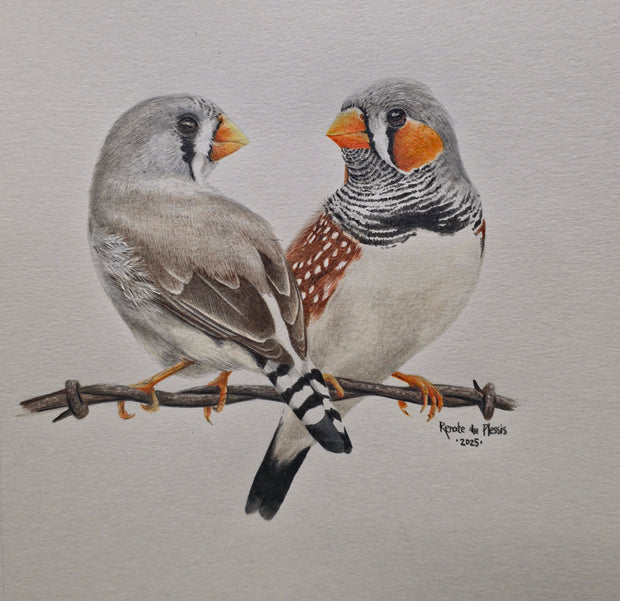 At First Sight - SOLD