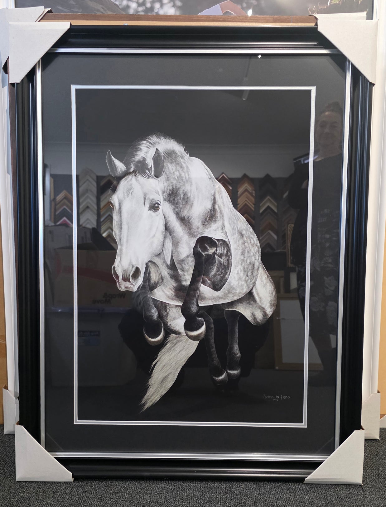 'Limitless' Grey Horse Jumping- Limited Edition