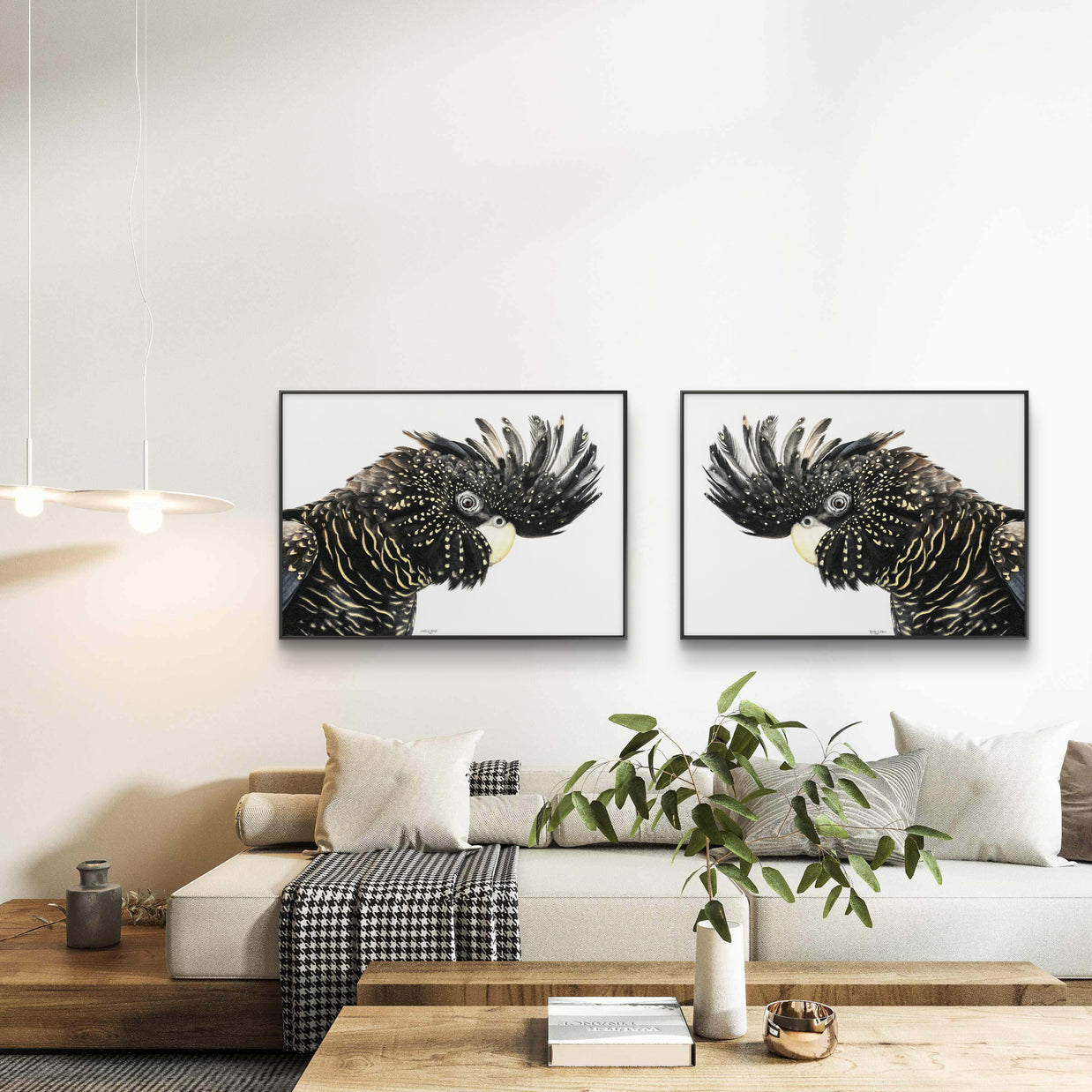 Framed canvas - Black Cockatoo