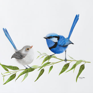 Two birds, one blue and one gray, perched on a branch with leaves against a white background.