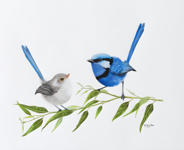 Two birds, one blue and one gray, perched on a branch with leaves against a white background.