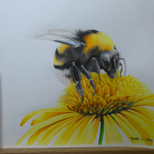Sunny Bumble - SOLD