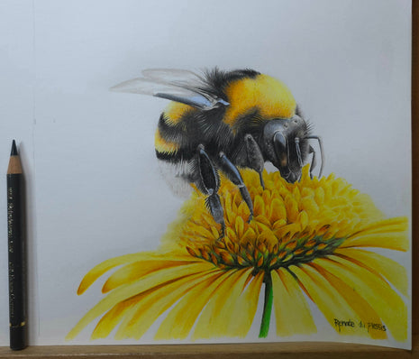 Sunny Bumble - SOLD
