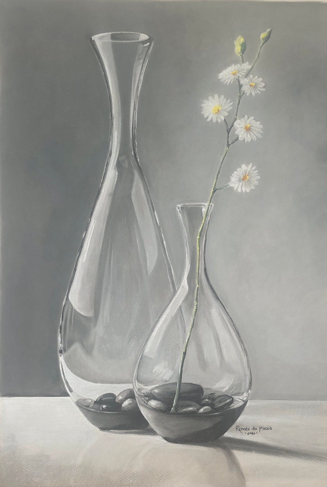 Two clear glass vases with pebbles and a single white flower on a gray background