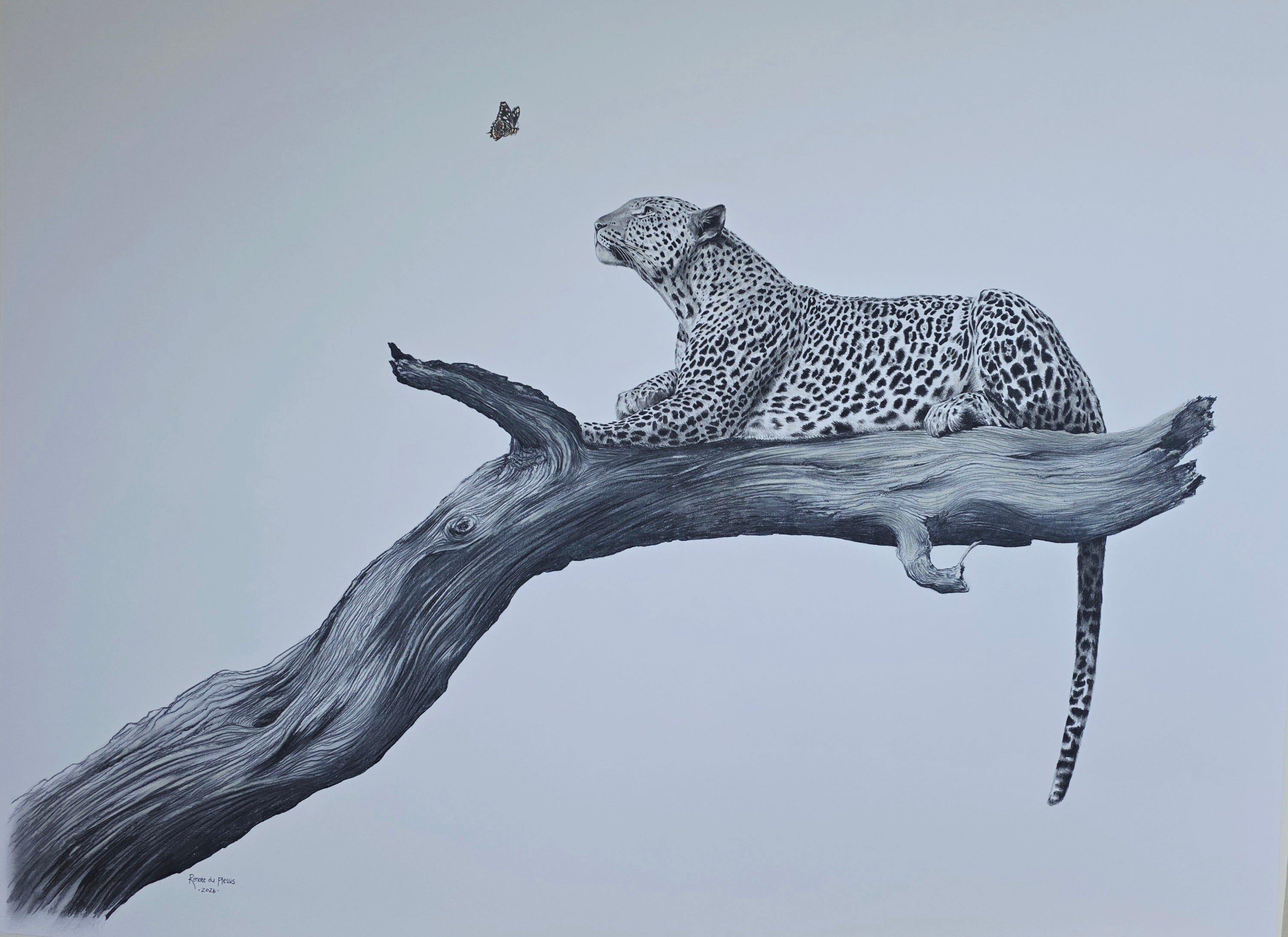 Life's Fragile Balance