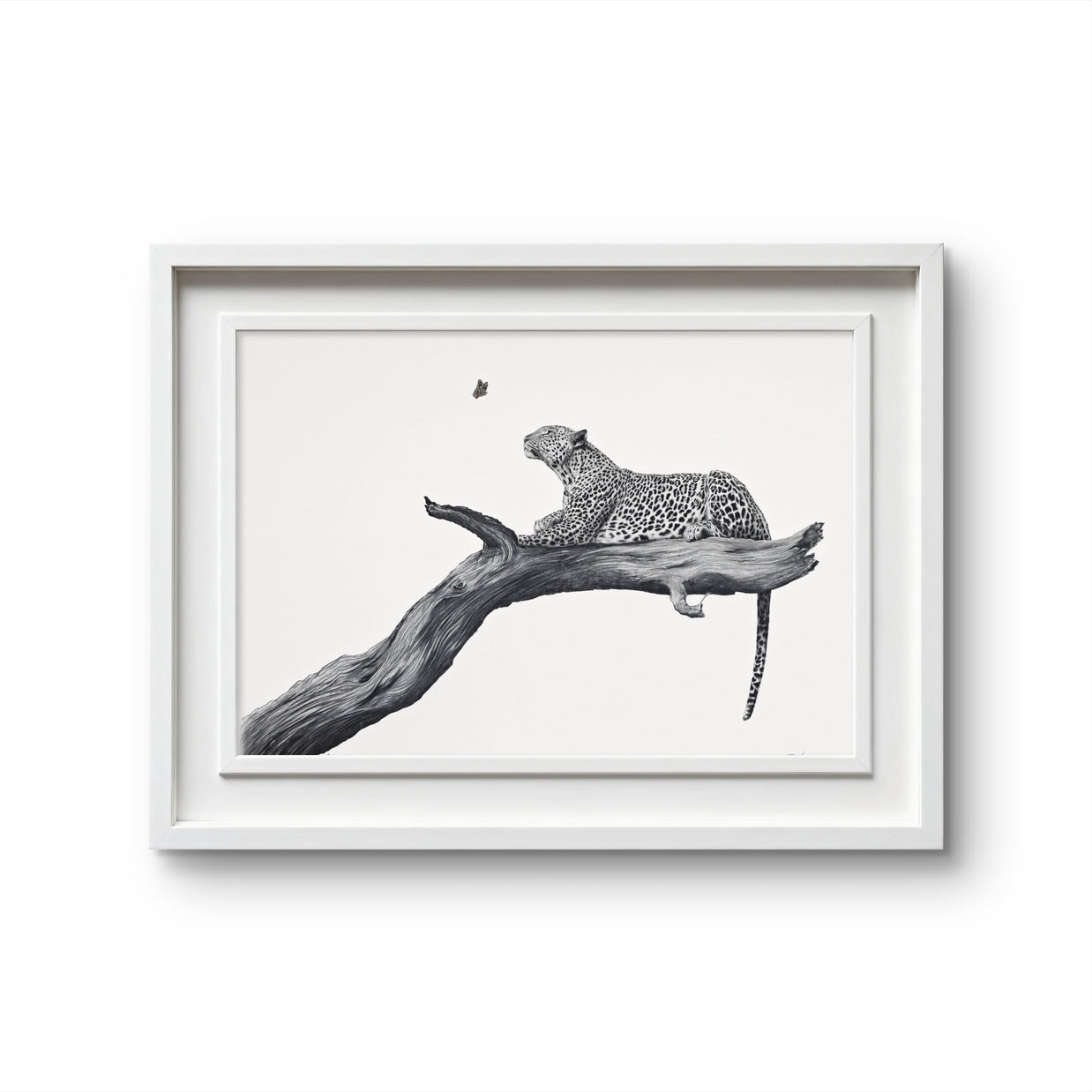 A framed black and white art print depicting a leopard resting on a tree branch, set against a clean white background.