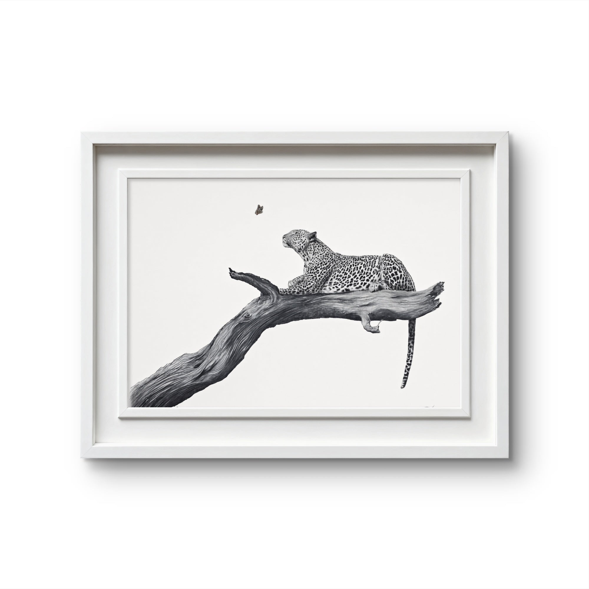 A framed black and white art print depicting a leopard resting on a tree branch, set against a clean white background.