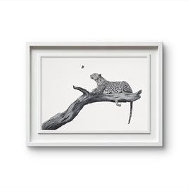 A framed black and white art print depicting a leopard resting on a tree branch, set against a clean white background.