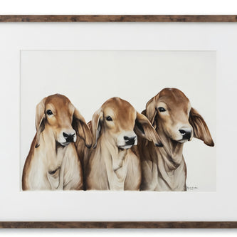 The Gang - Limited Edition