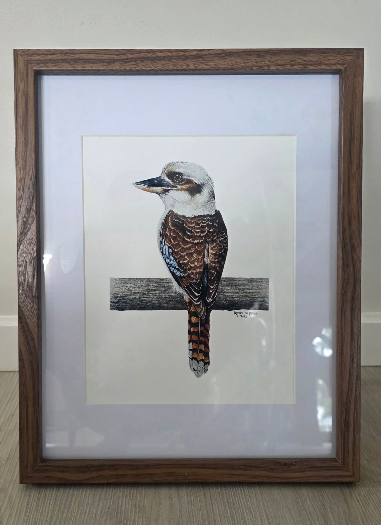 Framed artwork of a kookaburra bird on a branch.
