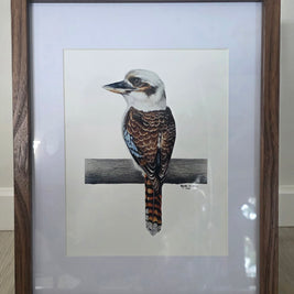 Framed artwork of a kookaburra bird on a branch.