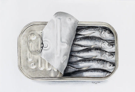 Can of sardines on a white background