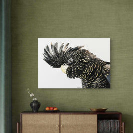 Canvas - Black Cockatoo