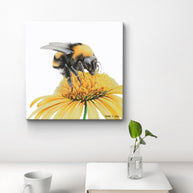 Canvas - Sunny Bumble