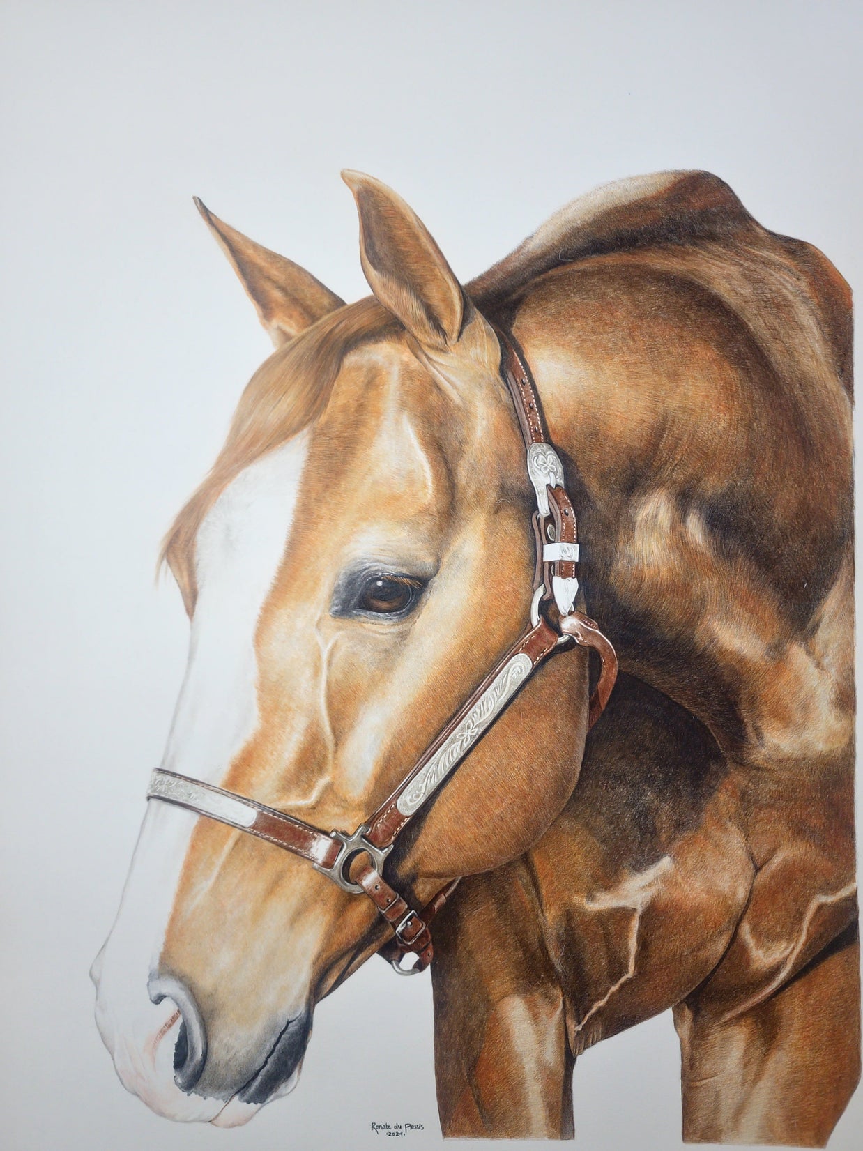 Quarter Horse Stallion - Limited Edition