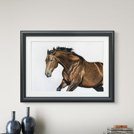 In Her Prime - Black Caviar Racehorse - Limited Edition