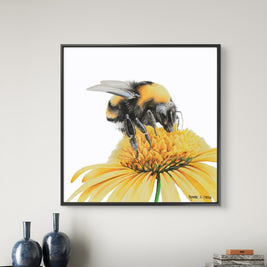 Framed canvas - Bee on Yellow Flower