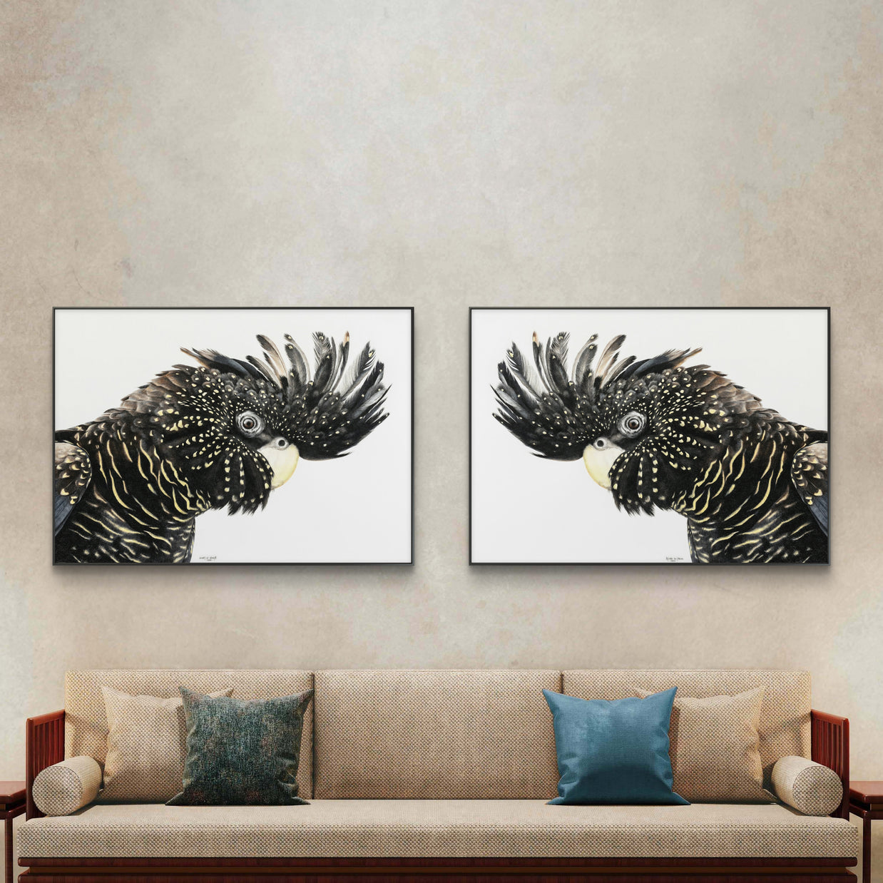 Framed canvas - Black Cockatoo