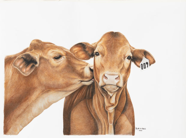Framed artwork of two brown cows facing each other on a white background