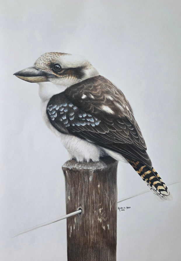 Dawn Watcher - SOLD