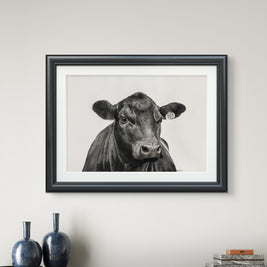 Black Angus Steer 007 - Limited Edition