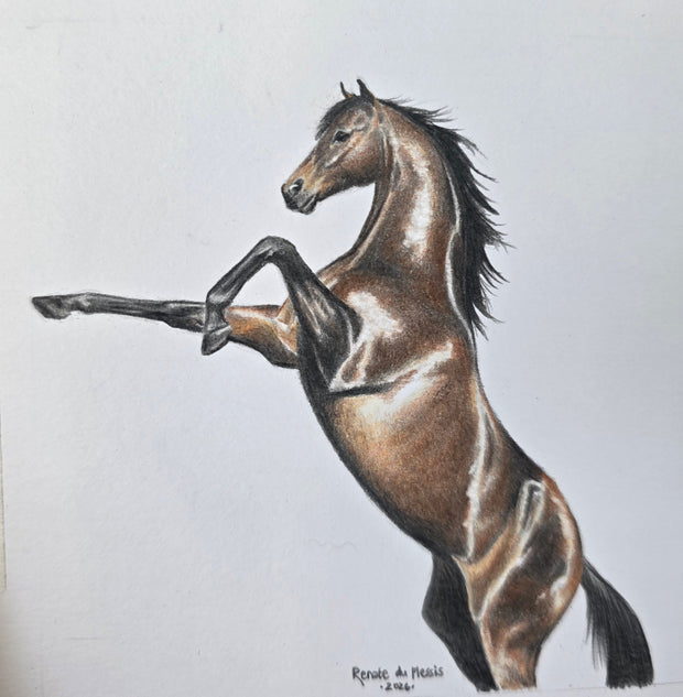 A detailed drawing of a brown horse rearing up on its hind legs, printed on a white sheet of paper and placed on a white surface.
