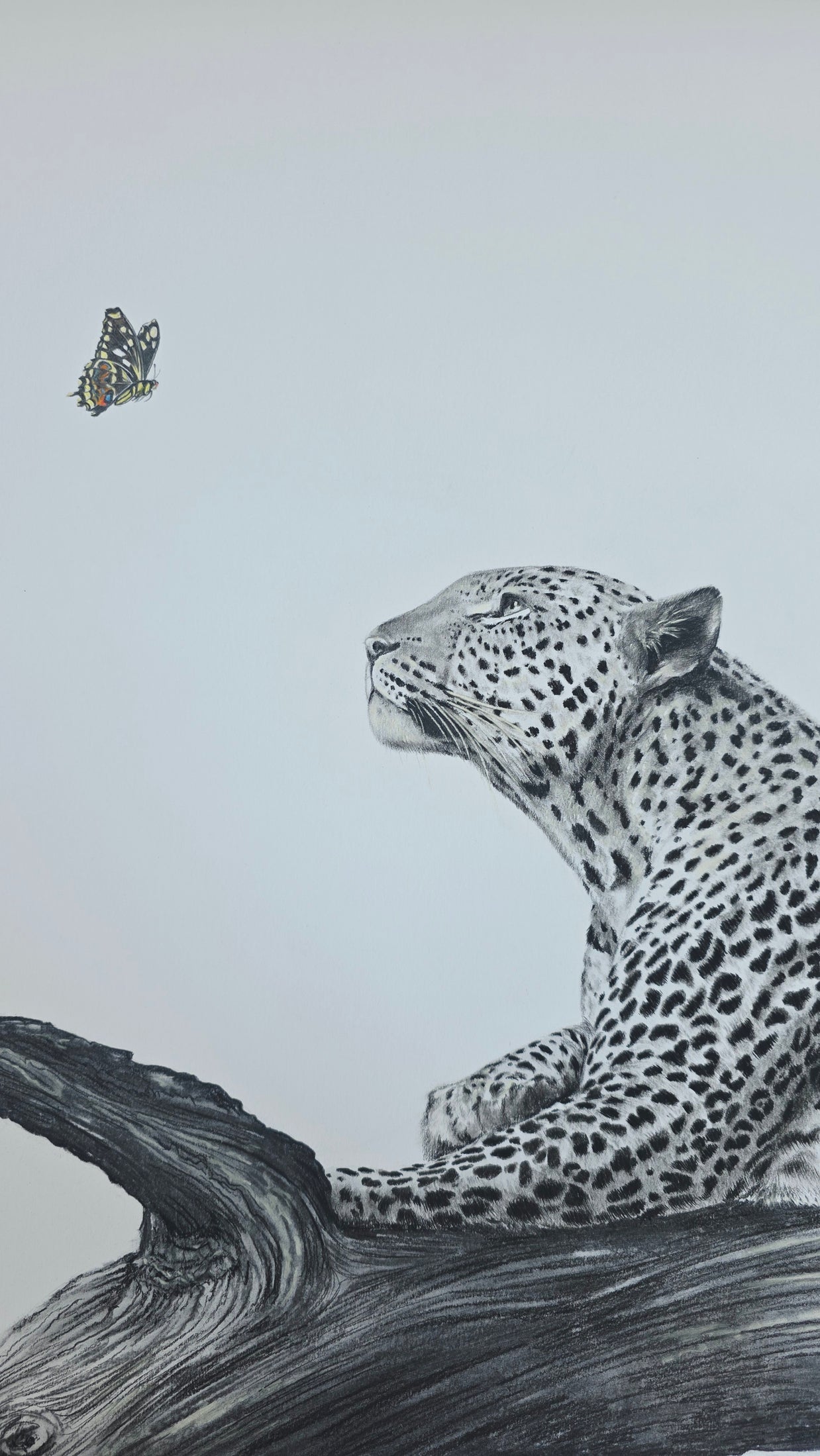 Life's Fragile Balance