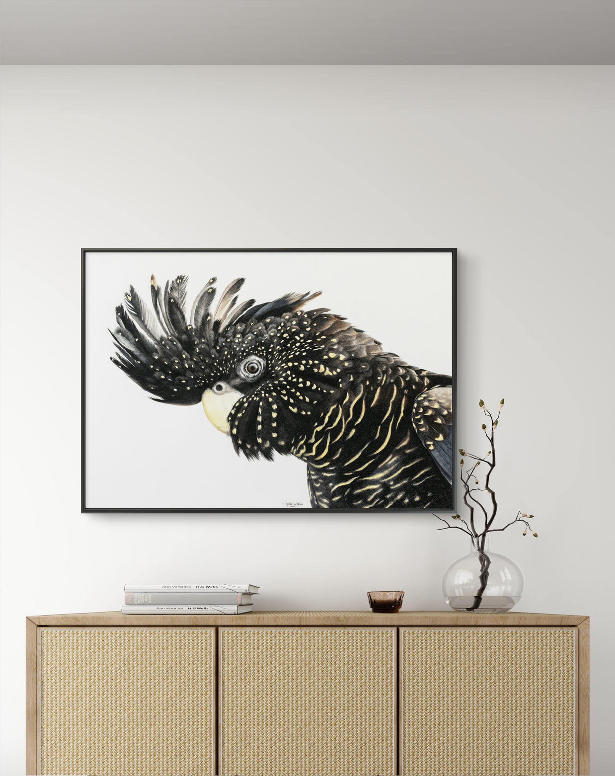 Framed canvas - Black Cockatoo