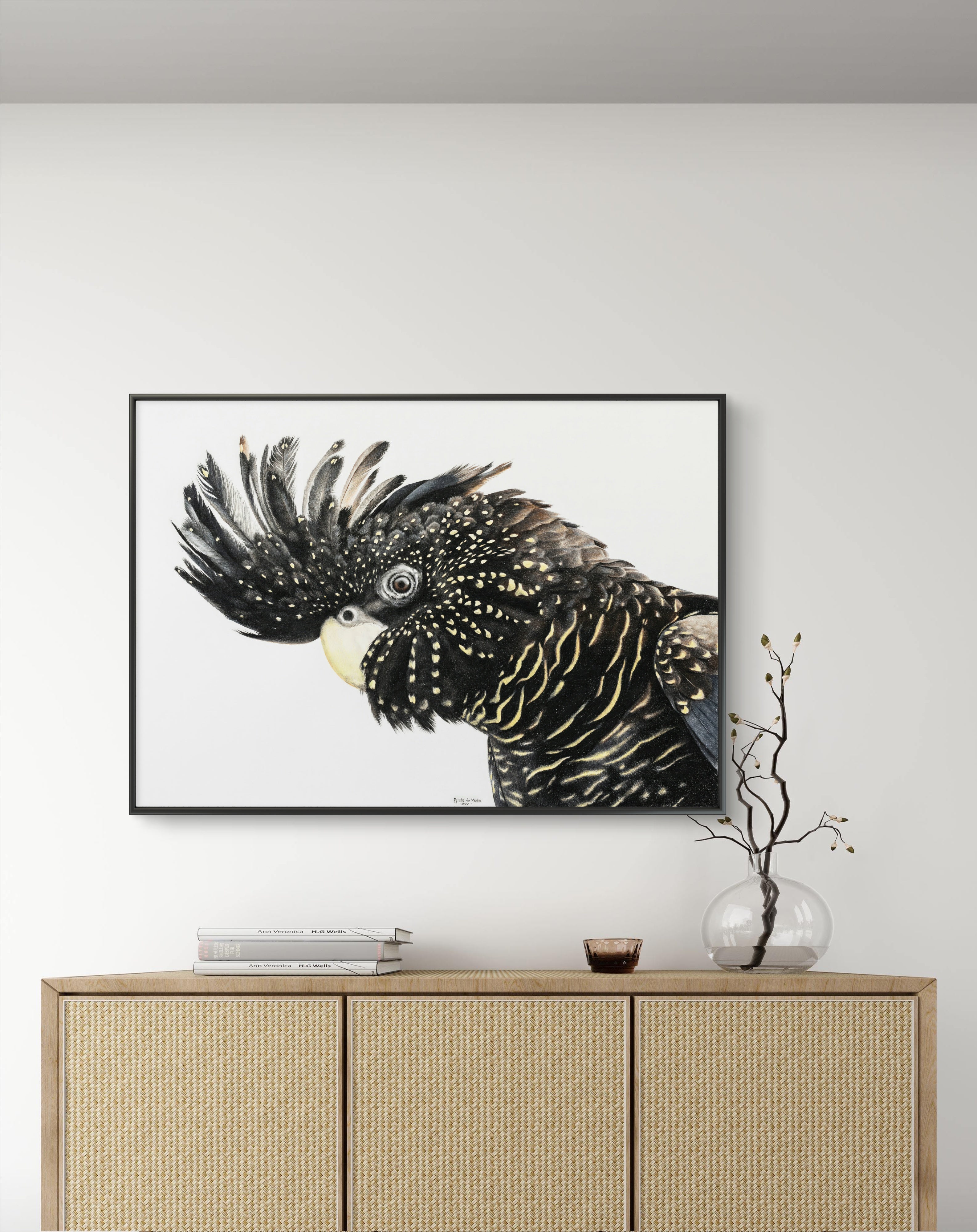 Framed canvas - Black Cockatoo