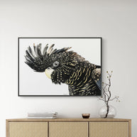 Framed canvas - Mr Casanova