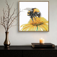 Framed canvas - Sunny Bumble