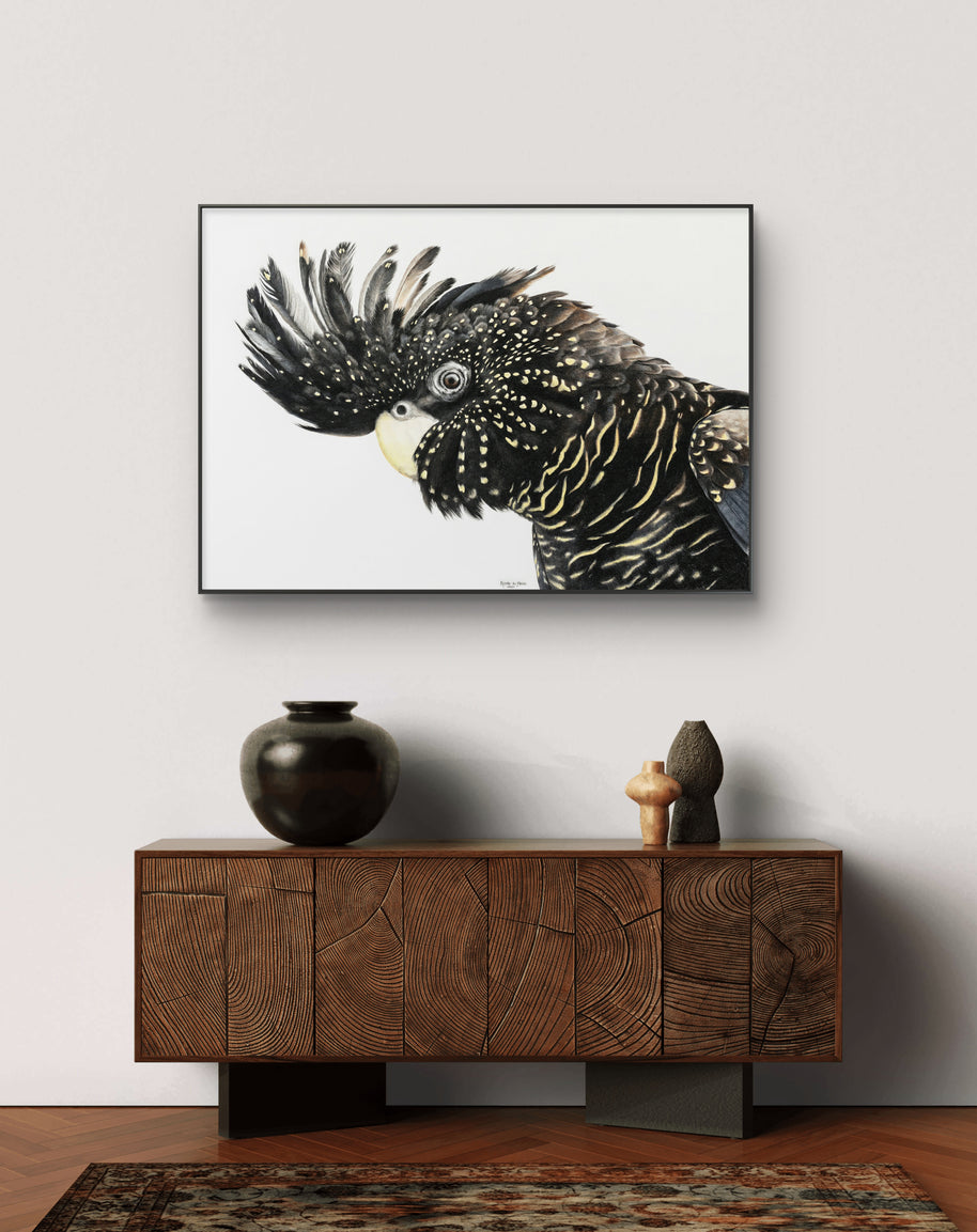 Framed canvas - Mr Casanova