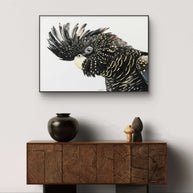 Framed canvas - Mr Casanova