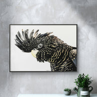 Framed canvas - Mr Casanova