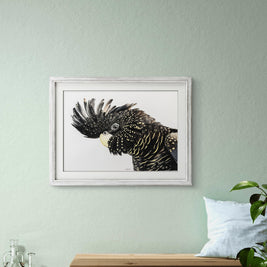 Framed artwork of a parrot on a light green wall with a wooden bench and plant.