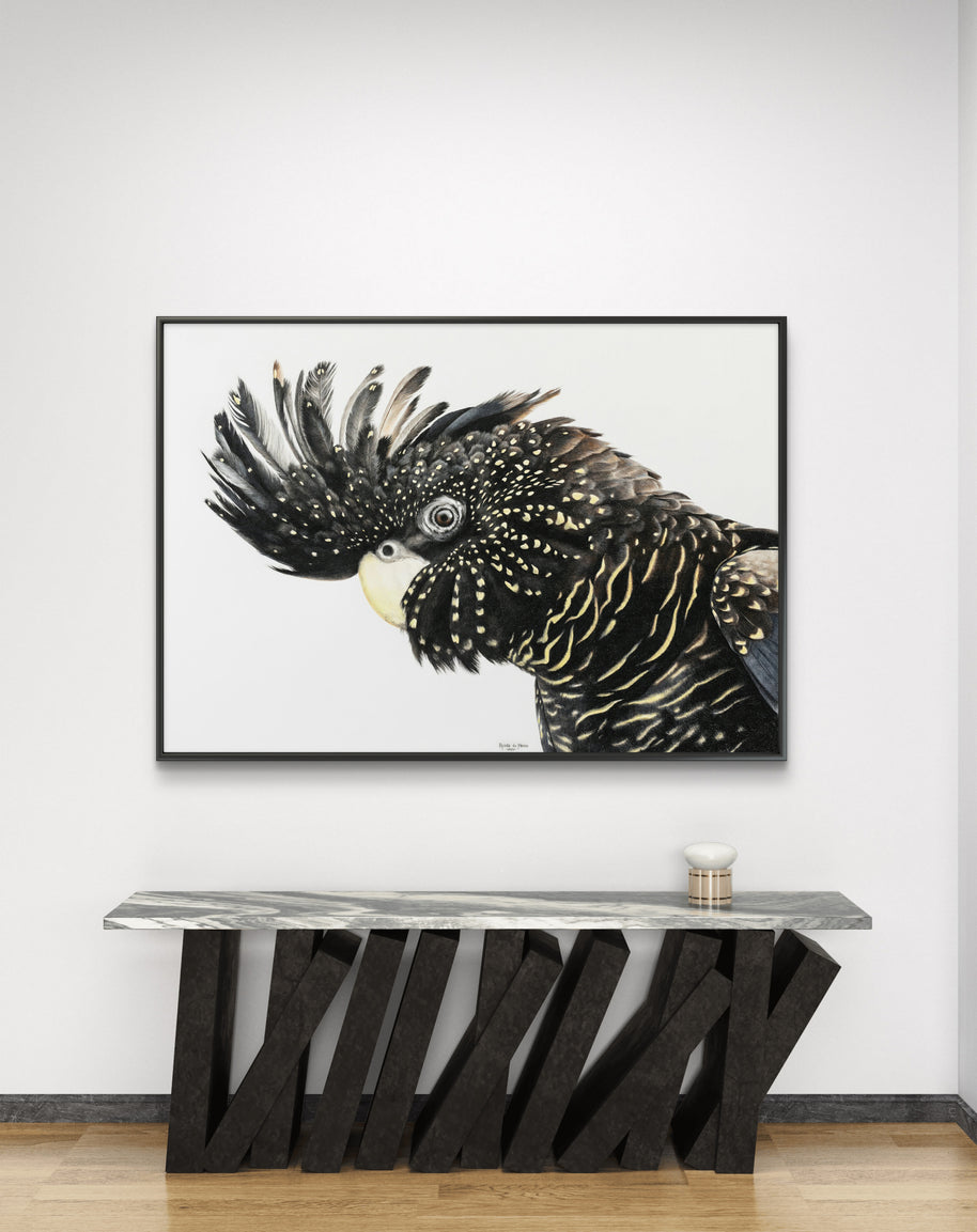 Framed canvas - Mr Casanova