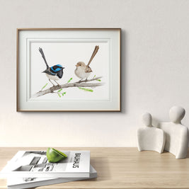 Romeo & Juliet Superb Fairy Wren Pair - Limited Edition