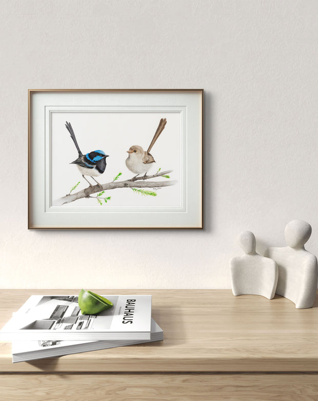 Romeo & Juliet Superb Fairy Wren Pair - Limited Edition