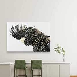 Canvas - Black Cockatoo