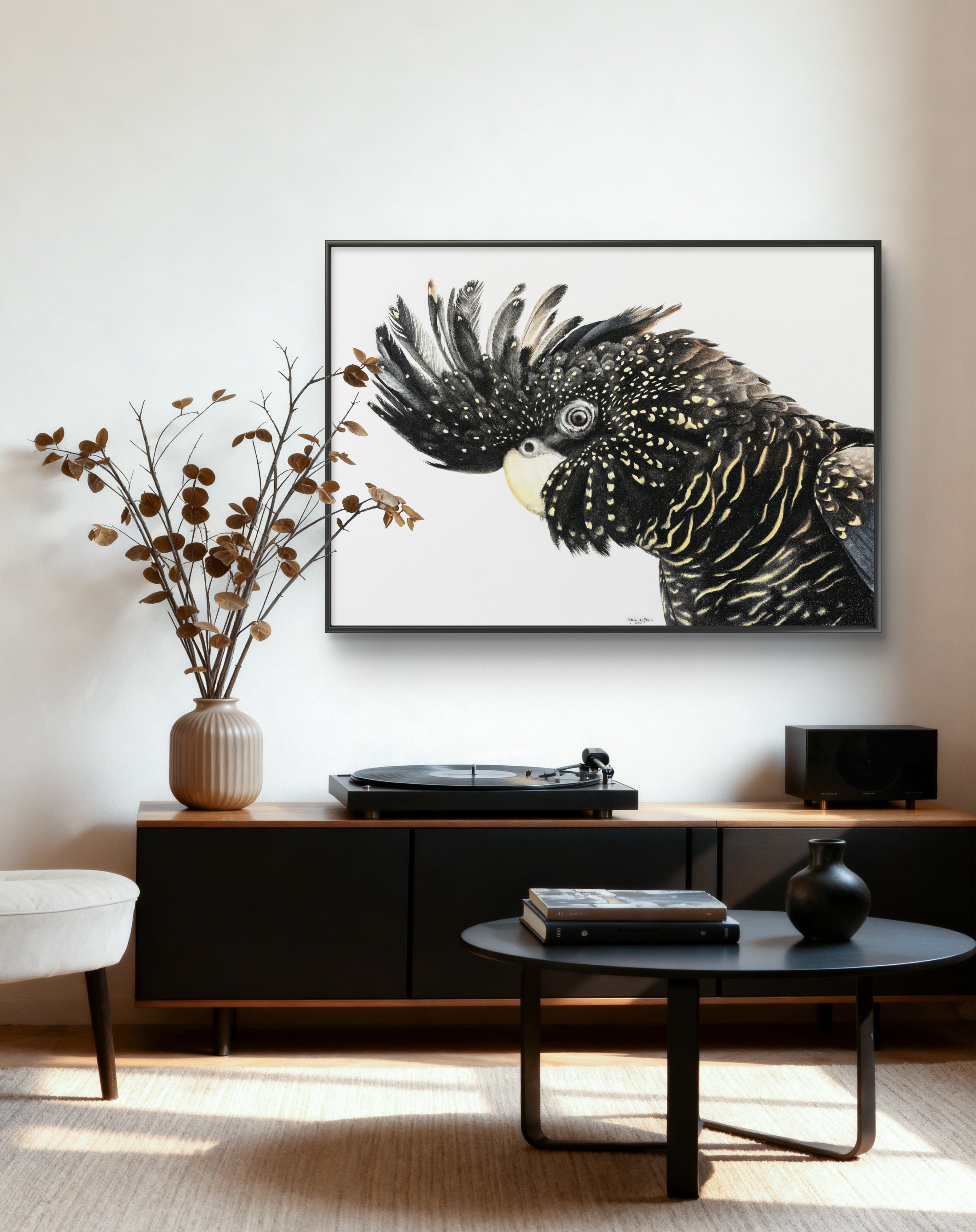 Framed canvas - Black Cockatoo