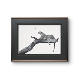Framed black and white art print of a leopard resting on a tree branch, presented in a dark wood frame against a white background.