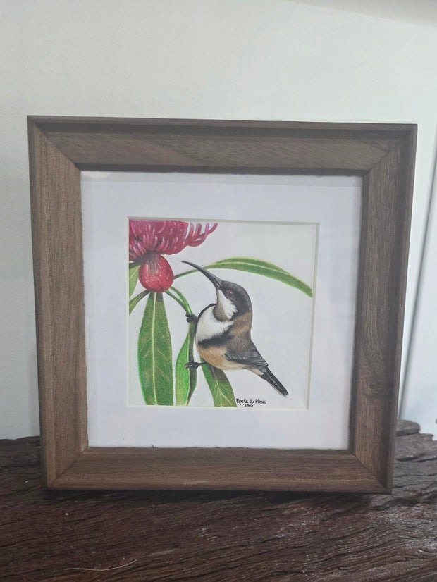 Eastern Spinebill - SOLD