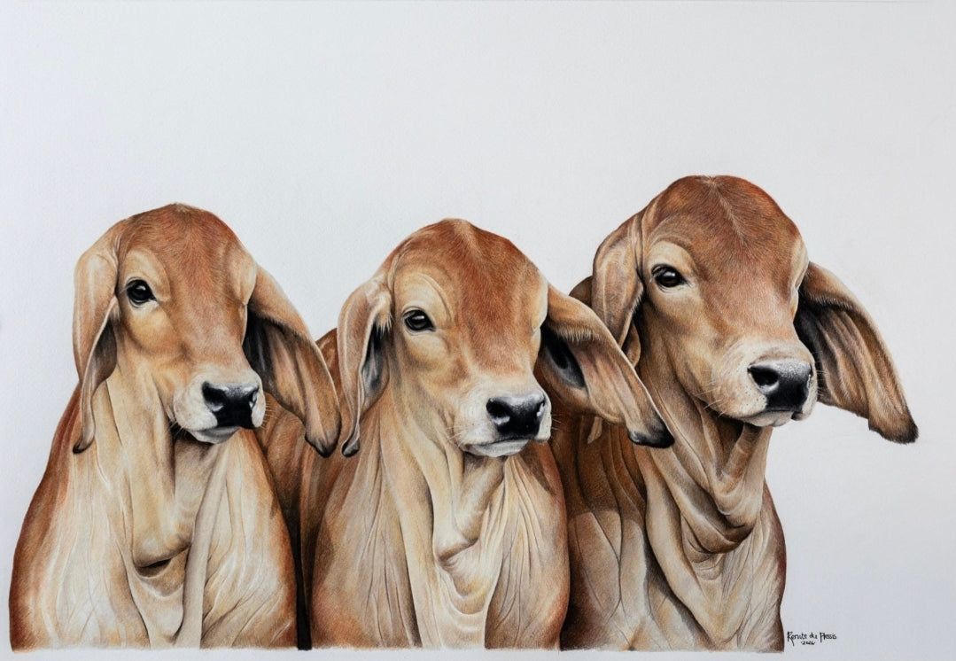 The Gang - SOLD