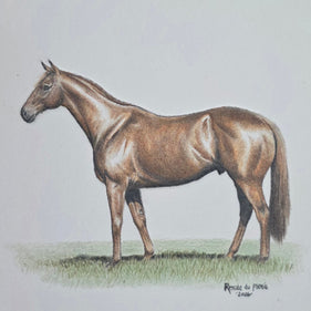 A square colour pencil drawing showing a brown horse standing on a small patch of grass