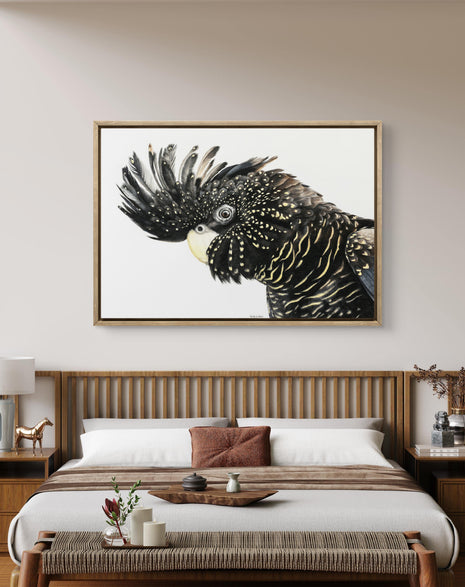 Framed canvas - Mr Casanova